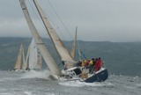 tanit gbr731t mon ss09 gjc 7998
